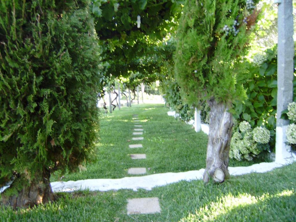 Turimenha Guest House Marvao  Exterior photo
